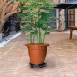 Carrinhos de plantas c/ rodas 3 pcs diâmetro 30 cm 170 kg preto