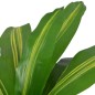 Planta dracena artificial com vaso 90 cm verde