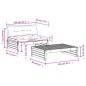 2 pcs conjunto lounge de jardim com almofadões madeira maciça