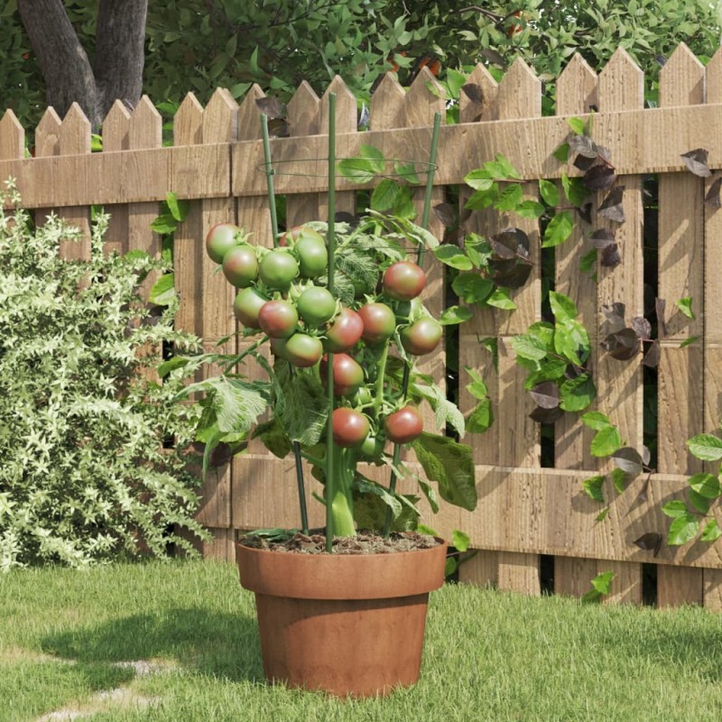 Suportes p/ plantas de jardim c/ 3 anéis 5 pcs 45 cm aço verde-Cercas e suportes para plantas-Home Retail