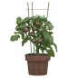 Suportes p/ plantas de jardim c/ 3 anéis 5 pcs 45 cm aço verde