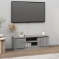 Móvel de TV com porta 102x30x36 cm cinzento sonoma