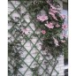 Nature Treliças de jardim 2 pcs 100x200 cm PVC verde