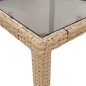 Mesa de jardim com tampo de vidro 150x90x75 cm vime PE bege