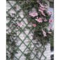 Nature Treliça de jardim 50x150 cm PVC verde 6040702