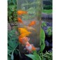 Ubbink Torre para peixes 50 cm acrílico 1372160