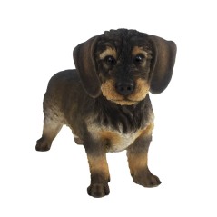 Esschert Design Dachshund pelo de arame 50x15x27,8 cm