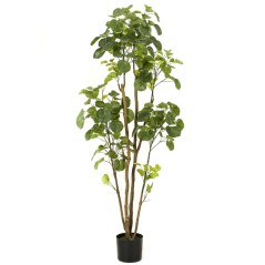 Emerald Árvore artificial Polyscias em vaso 160 cm