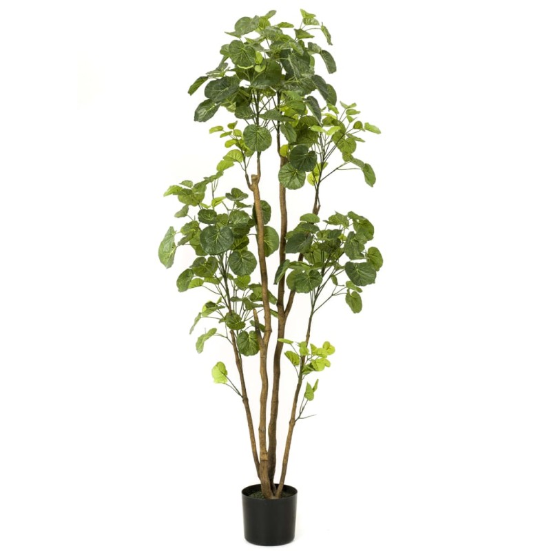 Emerald Árvore artificial Polyscias em vaso 160 cm-Flores sintéticas-Home Retail