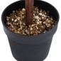 Planta artificial buxo em forma de esfera com vaso 50 cm verde