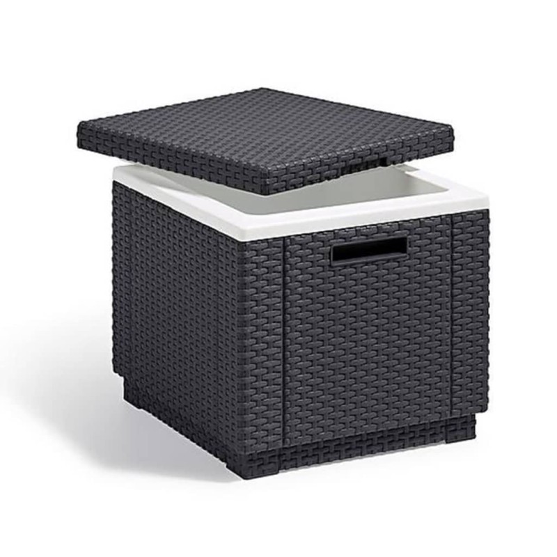 Keter Mala térmica Ice Cube cor grafite-Caixas e bolsas térmicas-Home Retail