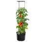 Vaso p/ cultivo de tomate Ø39x150 cm polipropileno antracite