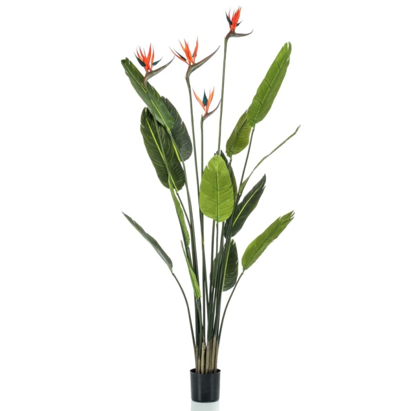 Emerald Árvore estrelícia artificial com 4 flores em vaso 150 cm-Flores sintéticas-Home Retail