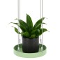 Esschert Design Tabuleiro para plantas suspenso redondo S verde