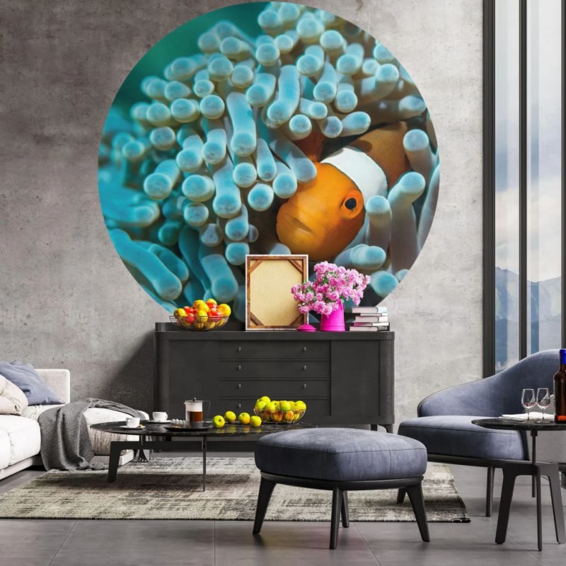 WallArt Papel de parede circular "Nemo the Anemonefish" 142,5 cm-Papel de parede-Home Retail