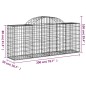 Cestos gabião arqueados 10pcs 200x50x80/100cm ferro galvanizado