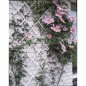 Nature Treliça de jardim 100x200 cm PVC branco 6040703