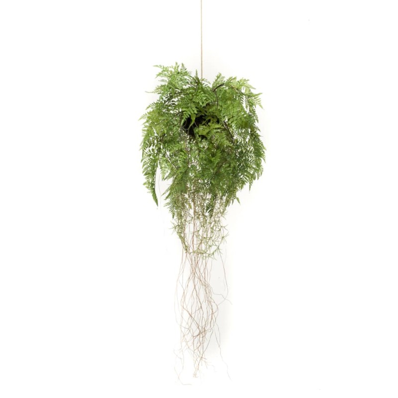 Emerald Feto de pendurar com raízes artificial 35 cm-Flores sintéticas-Home Retail