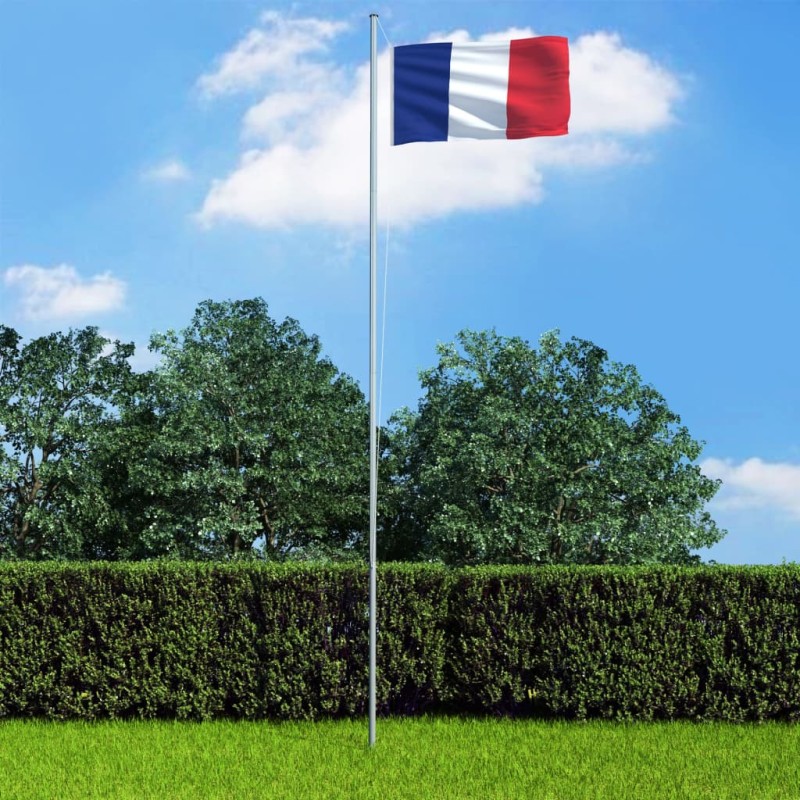 Bandeira da França 90x150 cm-Bandeiras e birutas-Home Retail