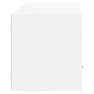 Sapateira parede 70x35x38 cm deriv. de madeira branco brilhante