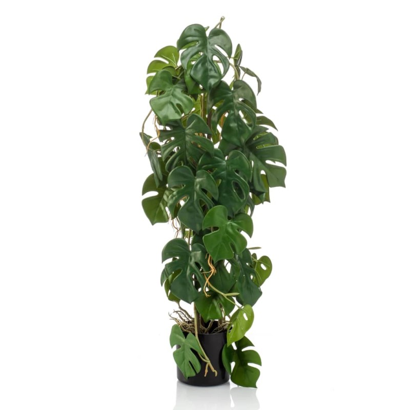 Emerald Costela-de-adão artificial em vaso 75 cm-Flores sintéticas-Home Retail