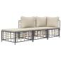 3 pcs conjunto lounge de jardim c/ almofadões vime PE antracite