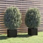 Vasos/floreiras de jardim 2 pcs 40x40x40 cm pinho maciço preto