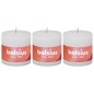 Bolsius Velas rústicas cilíndricas Shine 3pcs 100x100mm branco nublado