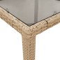 Mesa de jardim com tampo de vidro 190x90x75 cm vime PE bege