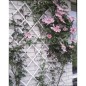 Nature Treliça de jardim 50x150 cm PVC branco 6040701