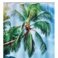 RIDDER Cortina de duche Palm Beach 180x200 cm