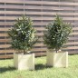 Vasos/floreiras de jardim 2 pcs 31x31x31 cm pinho maciço branco