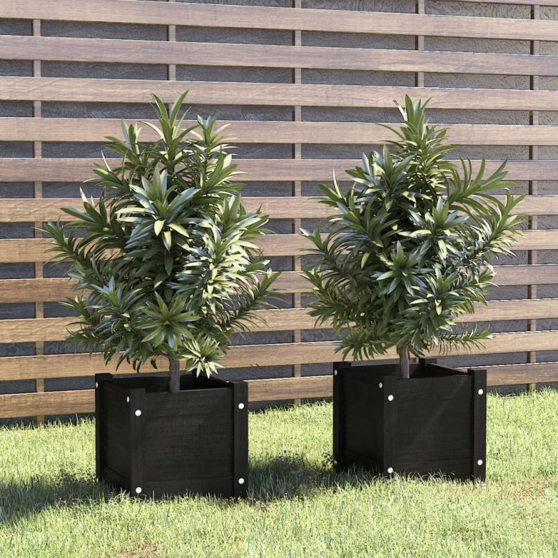 Vasos/floreiras de jardim 2 pcs 31x31x31 cm pinho maciço preto-Vasos e floreiras-Home Retail