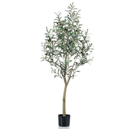 Emerald Oliveira artificial com vaso plástico 140 cm