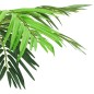 Palmeira phoenix artificial com vaso 190 cm verde