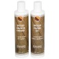 Kit tratamento de madeira CARE KIT 2x250 ml