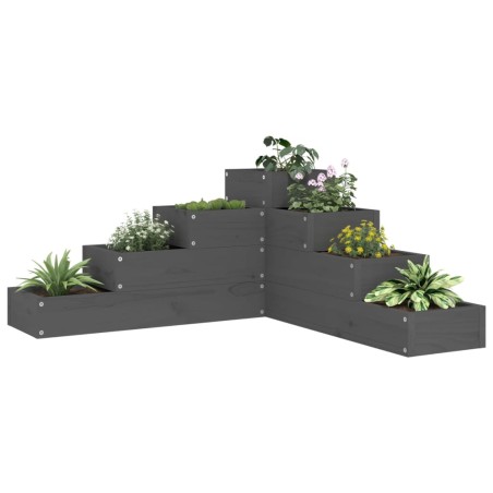 Floreira de jardim c/ 4 níveis 80,5x79x36cm pinho maciço cinza